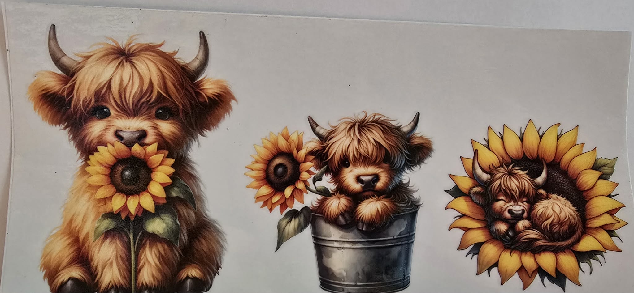Random Animal Wraps