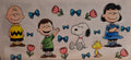 Random Cartoon Wraps