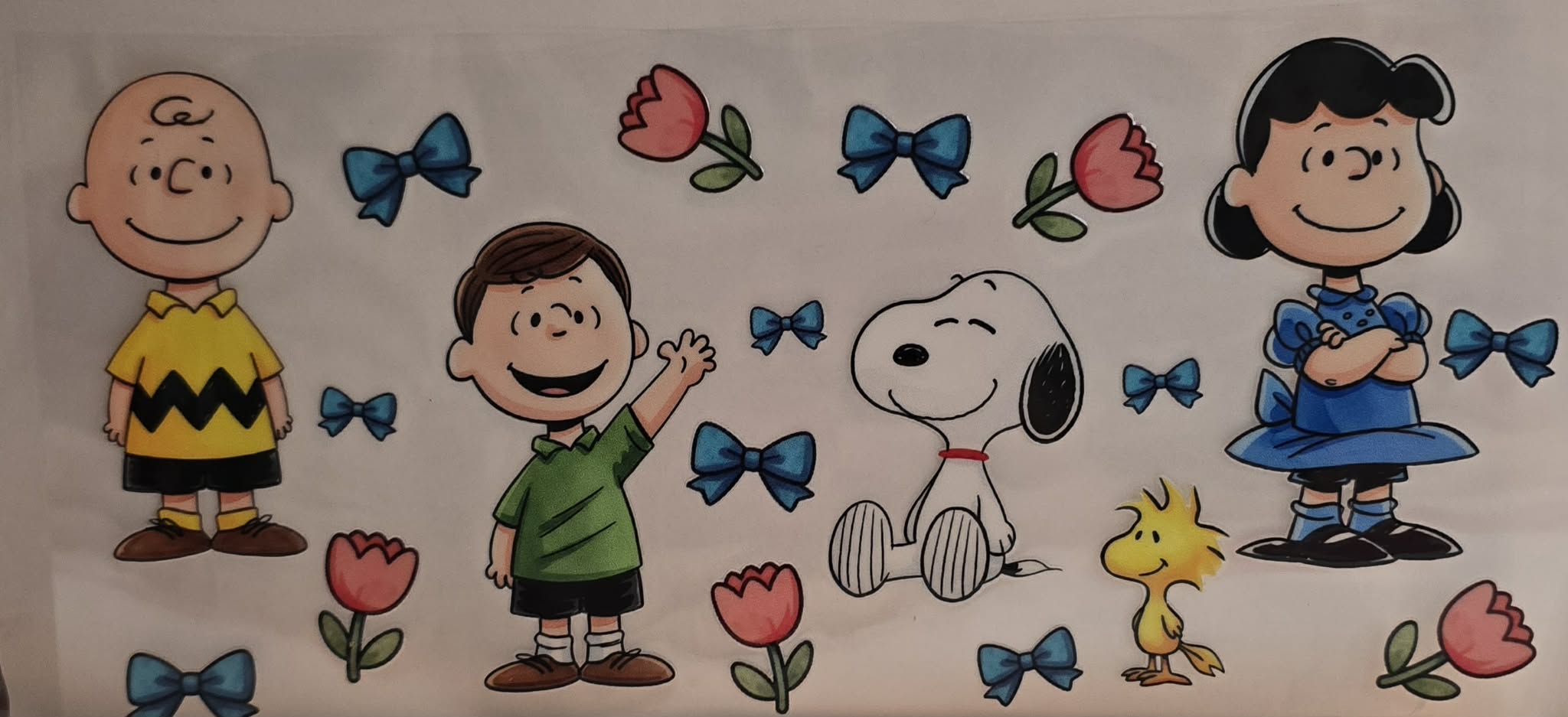 Random Cartoon Wraps