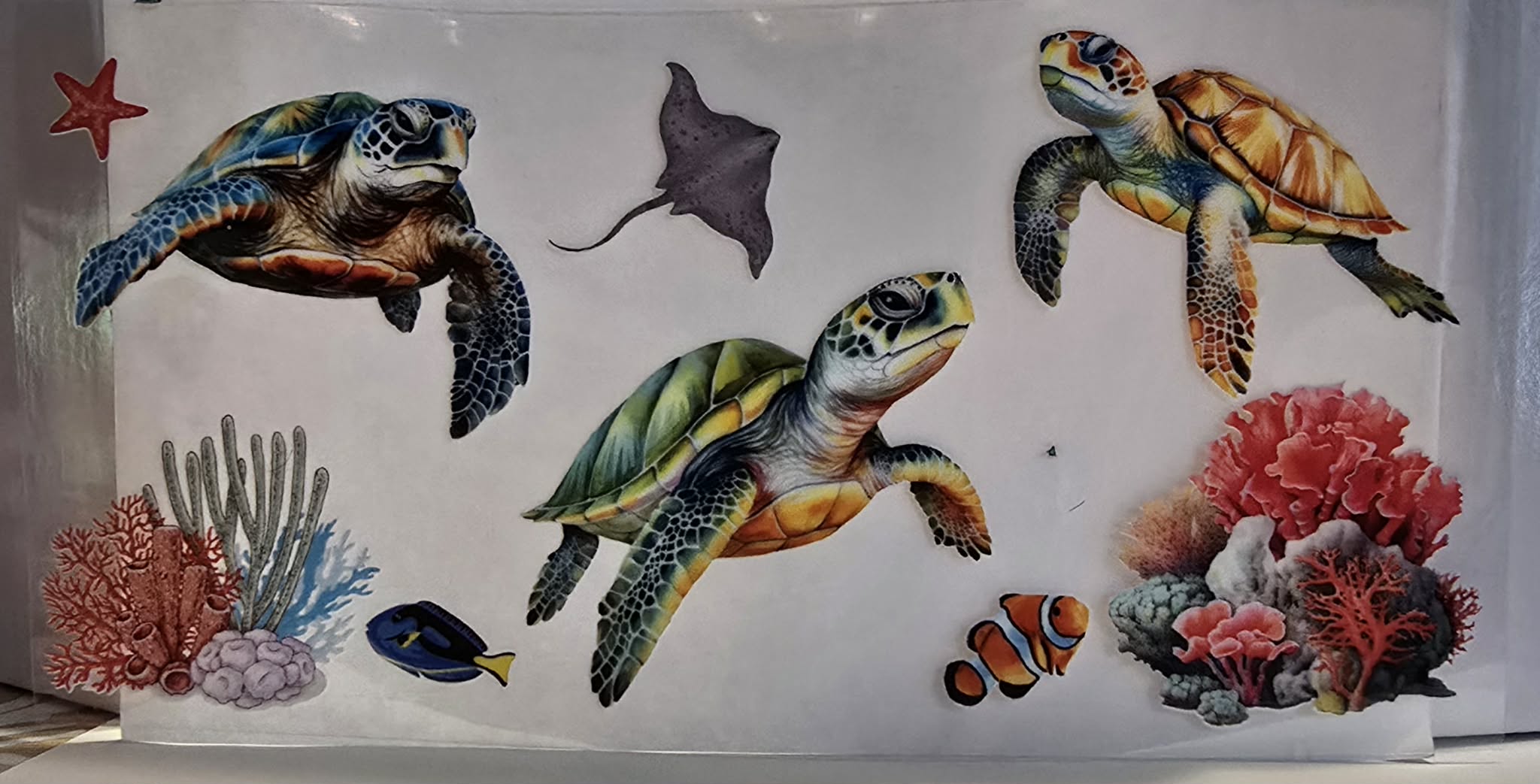 Random Animal Wraps