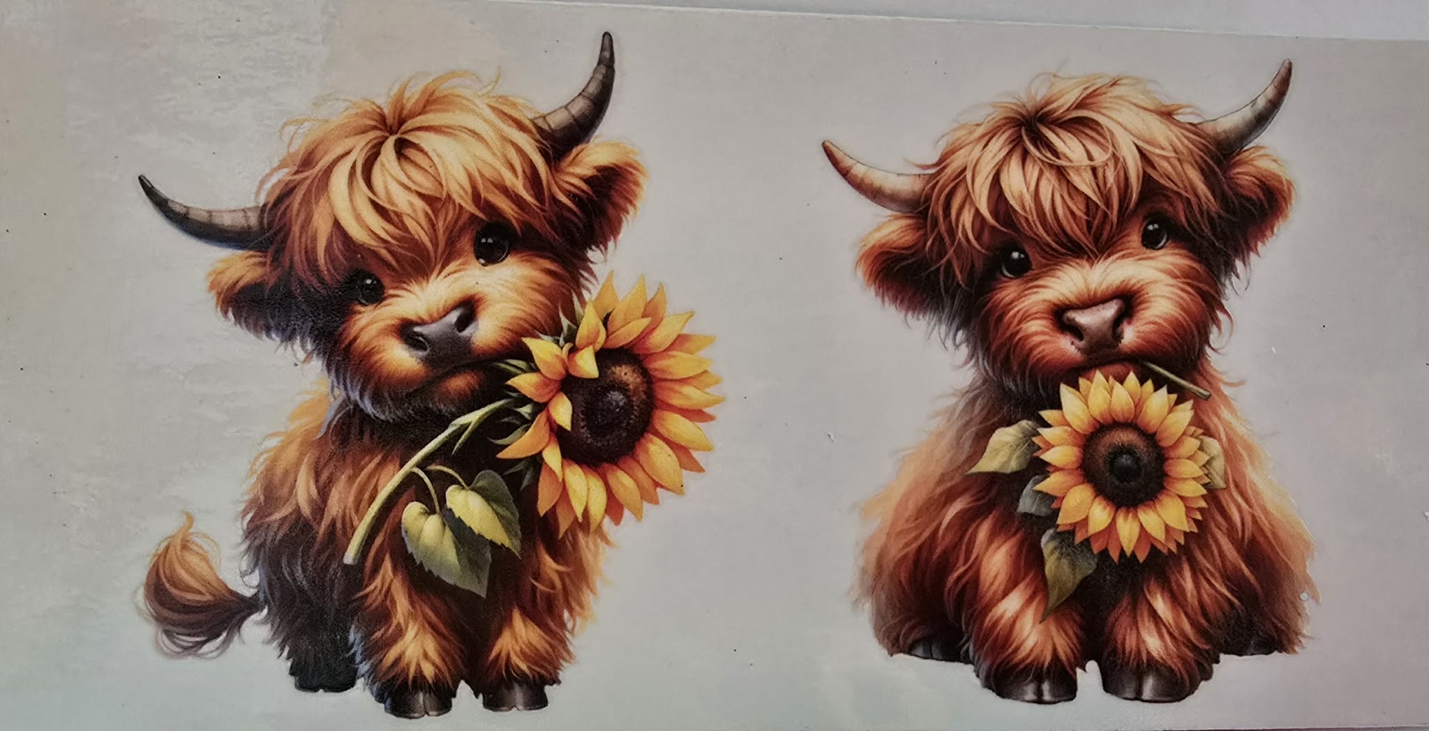 Random Animal Wraps