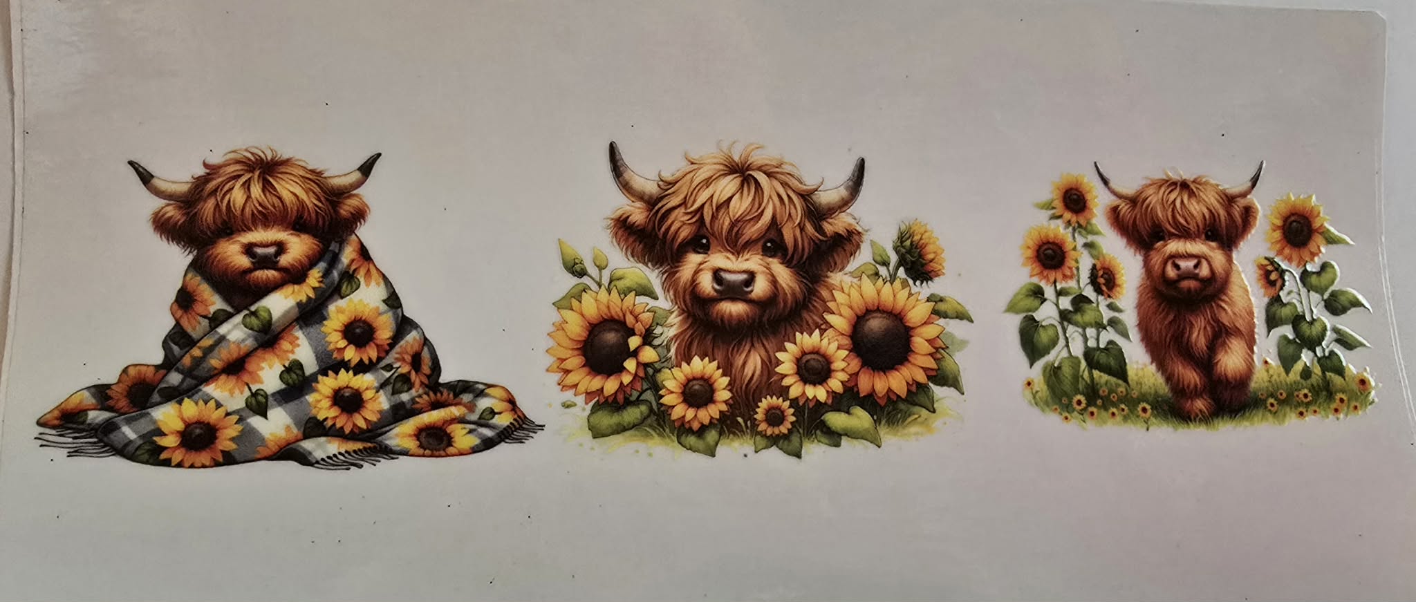 Random Animal Wraps