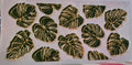 Random Floral Wraps