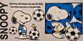 Random Cartoon Wrap